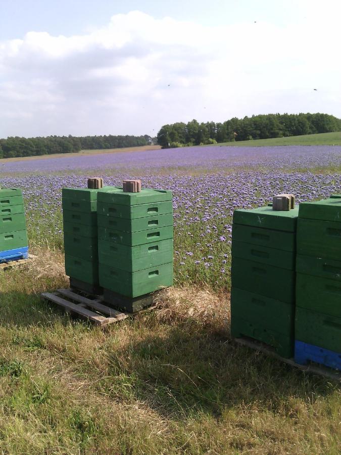 Вілла Kalmar 8 Kagsdorf Екстер'єр фото